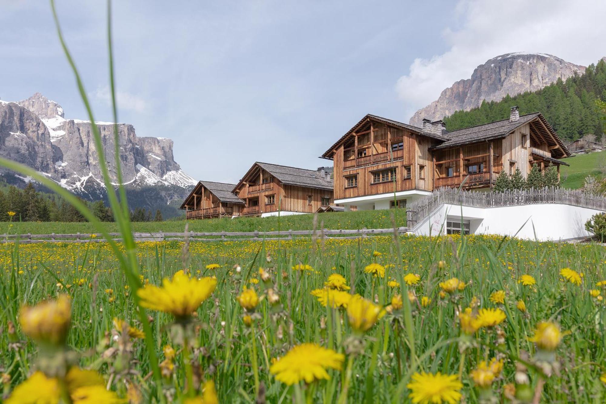 Chalet Ciasa Tino & Sara - Belaval Apartments Corvara In Badia Dış mekan fotoğraf